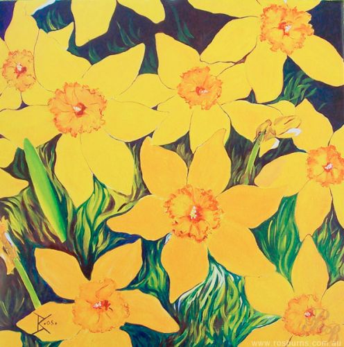 Daffodils 17
